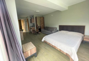 Bakuriani apartament B-311